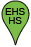 Green pin graphic for EHS HS