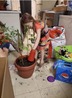 Niña sembrando una planta en un macetero.