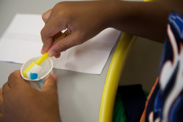 Teacher applying toothspaste on several toothbrushes.