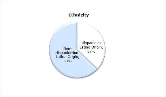 Gráfico circular - Origen étnico