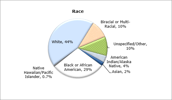 Gráfico circular - Raza