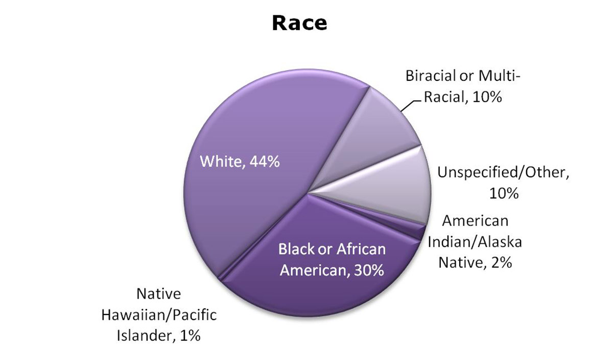 Pie chart showing percentage of enrollment by race