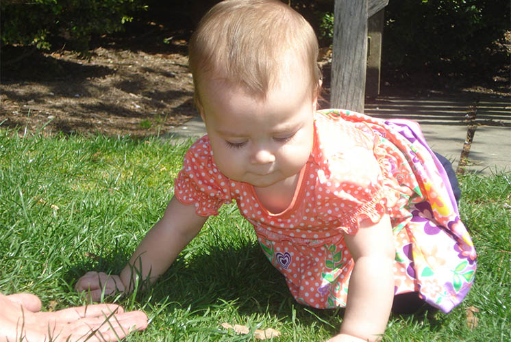 a baby on the grass crawls toward adult hand