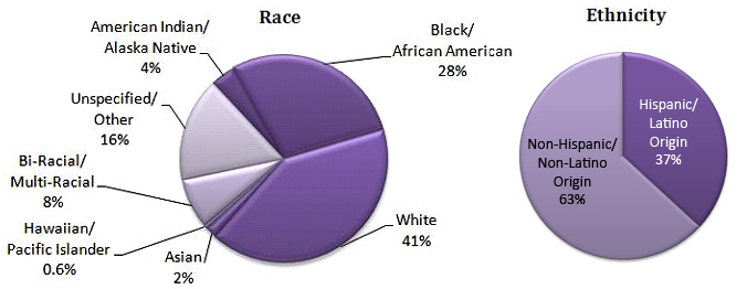 Pie chart - Race Ethnicity