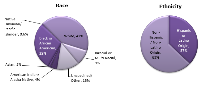 Pie chart - Race/Ethnicity