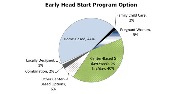 Gráfico circular - Opciones del programa Early Head Start