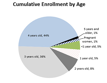 Gráfico circular - Inscripciones acumulativas por edad