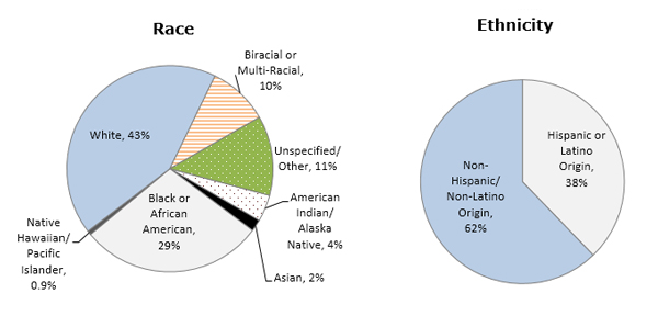 Gráfico circular - Raza/origen étnico