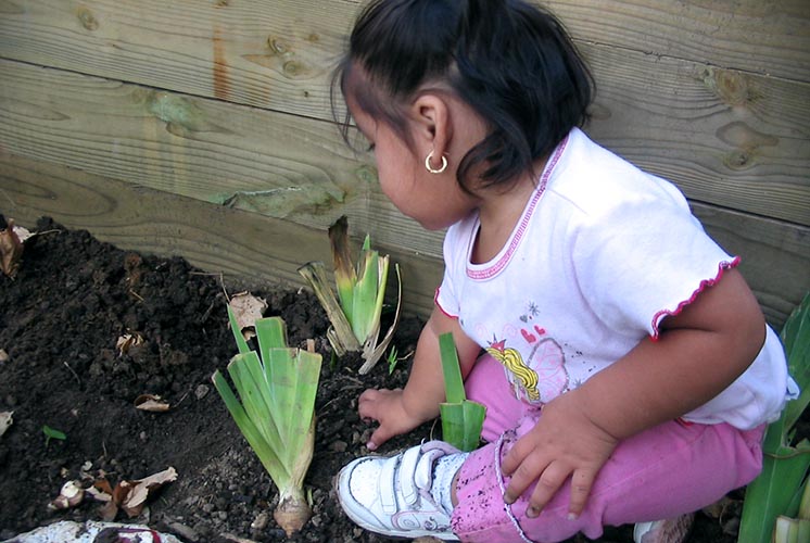 Una niña sentada en la tierra entre las plantas del jardín