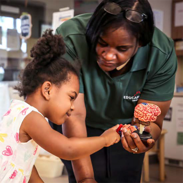 Teacher showing a young student about the brain