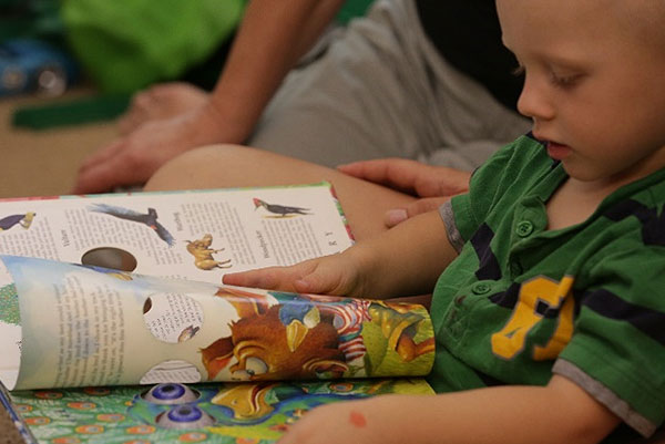 Toddler boy reading