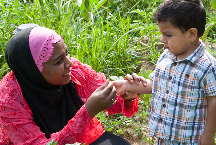 teacher demonstrates plant to boy